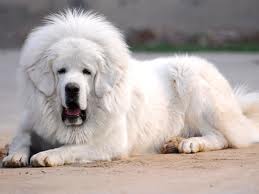 近500款游戏特惠史低！Steam弹幕天堂游戏节（逆弹幕射击游戏节）3.0隆重敞开！