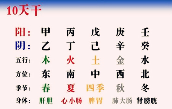 八字入门基础天干象意大全（4）