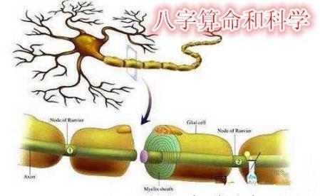 八字算命和科学有哪些关联性