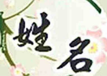 招桃花运的名字