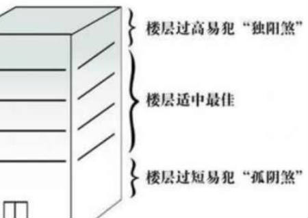 买房风水楼层与属相