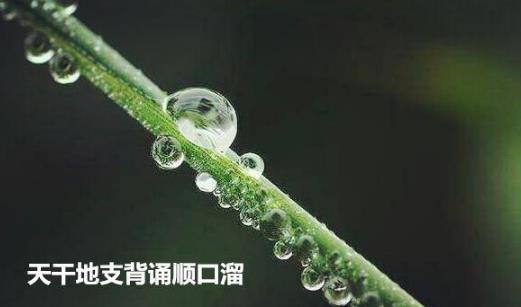 天干地支背诵顺口溜