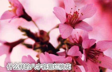 什么样的八字容易烂桃花