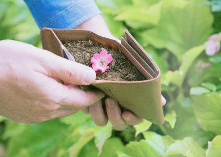 会损害财运的风水物品