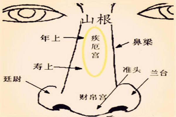 面相五官的看法