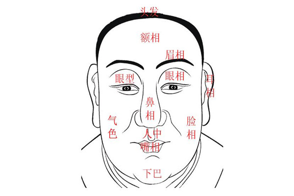 面相学中的五长五短详解