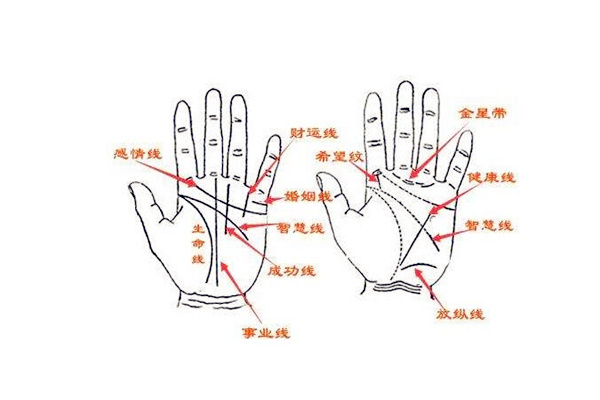 教你掌纹判断性格