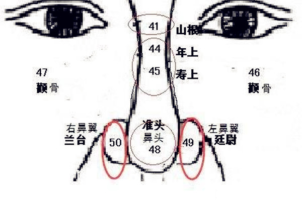 旺财痣长在哪里