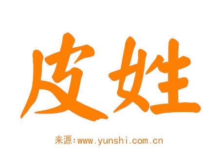 皮姓男孩名字大全