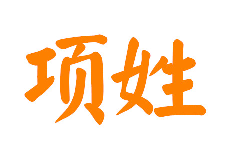 项姓男孩100分名字