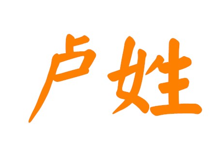 姓卢的女生独特的名字