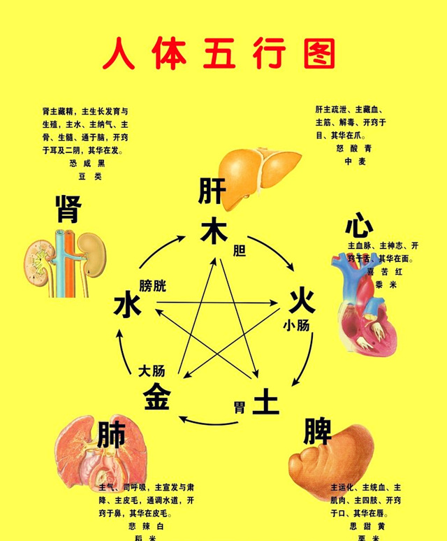 “阳宅风水中“病理法则”的核心内容是什么？