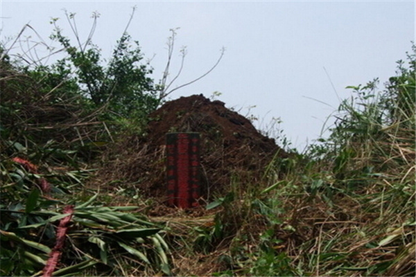 风水墓地选择禁忌