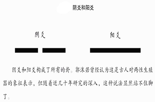 阳爻什么意思