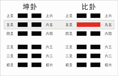 五爻代表什么