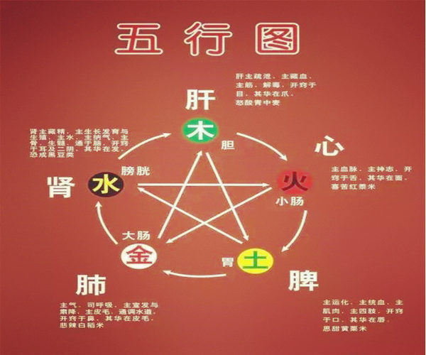 八字推断疾病的步骤及象义.jpg