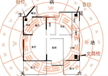 家里财位放什么催财最好