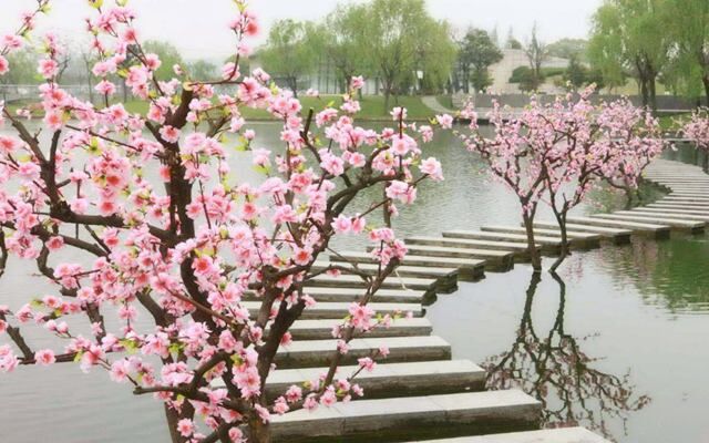 要怎么布置风水才能增旺桃花运