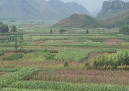 阴宅风水对后代影响