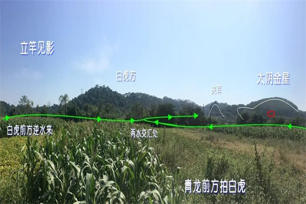 阴宅风水中青龙白虎代表什么