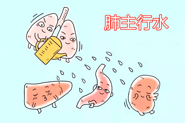 风水家里哪个方位管肺？