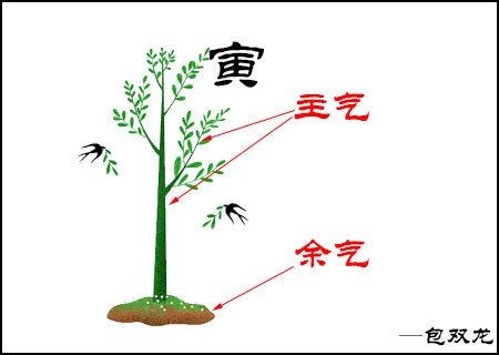 八字五行缺失藏干算吗？