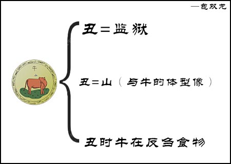 丑土在十二生肖中为什么是牛？