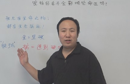 宠物的名字会不会影响它的命运呢？