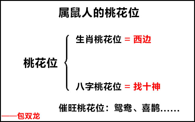 属鼠人的桃花位在哪里？如何助旺桃花位？