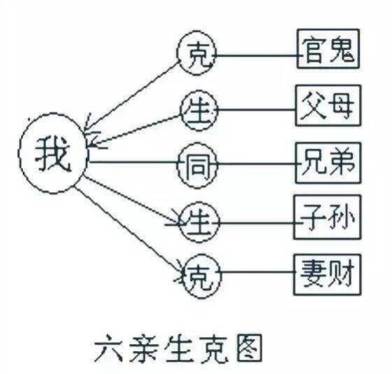 男女命十神与六亲关系