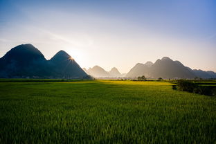 如何寻找坟墓风水宝地