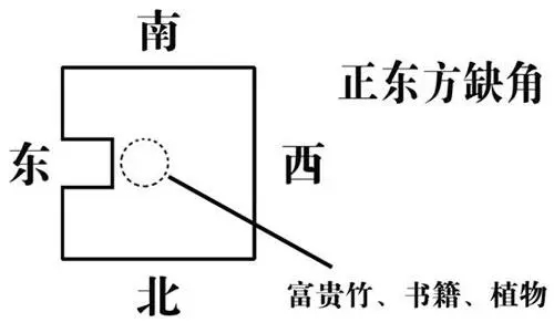 如何用植物化解缺角