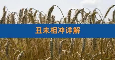 丑末相冲如何化解