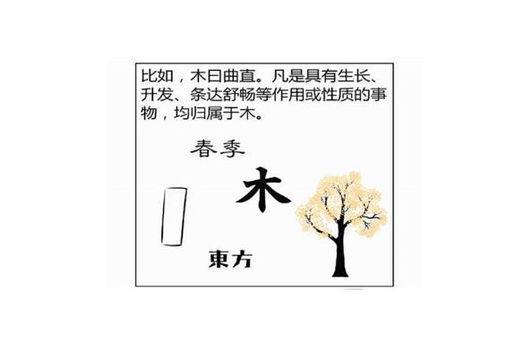 五行木弱怎么解决嗓子疼的快速解决