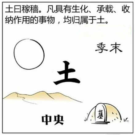 十天干己土