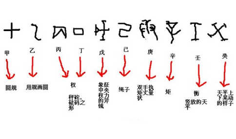 十天干万物类象