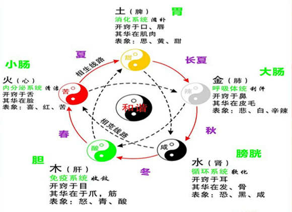 十天干代表身体部位