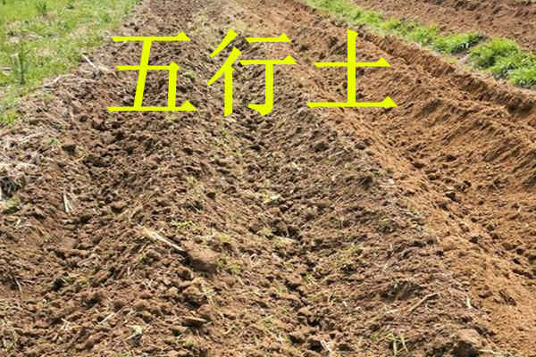 八字中的五行土该如何理解