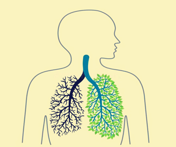 八字看肺病的标志