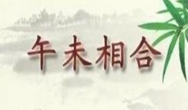 八字午未合化火还是合化土