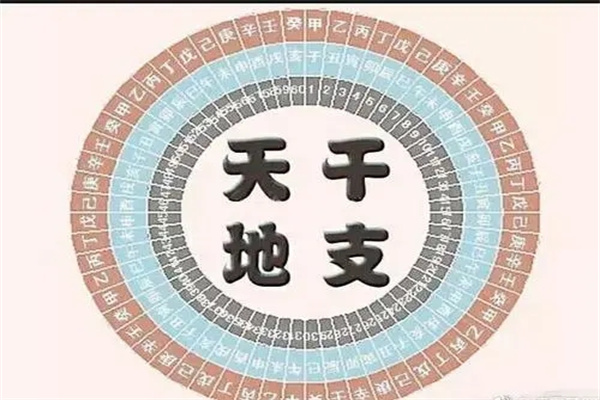 八字看天干还是地支