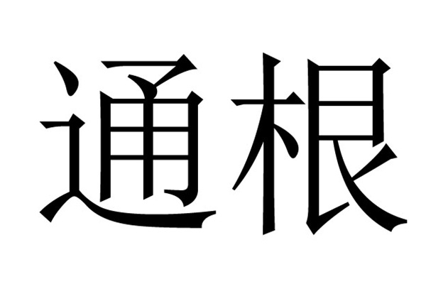 八字通根与有根的区别