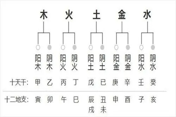 学习四柱八字的方法目的